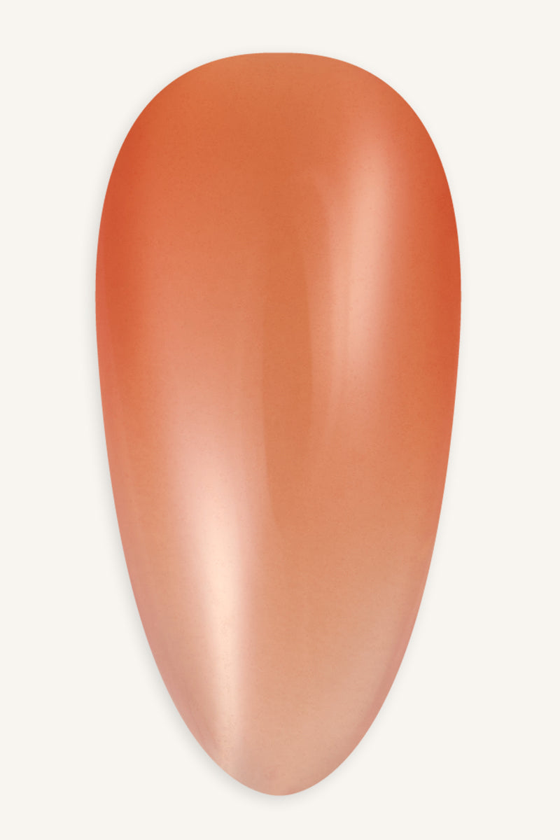 Tangerine · 213