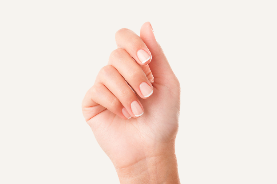 Nail Theory - Nail Anatomy