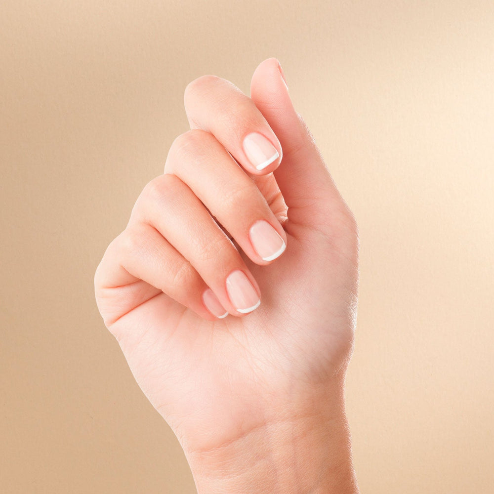 Nail Theory - Nail Anatomy