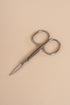 Nail scissor (Stainless steel)